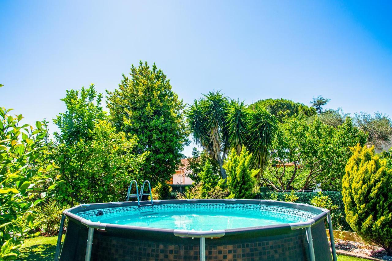 Villa Provence-Spa&Bbq Centre Au Calme- Jardin - Terrasses La Valette-du-Var Bagian luar foto